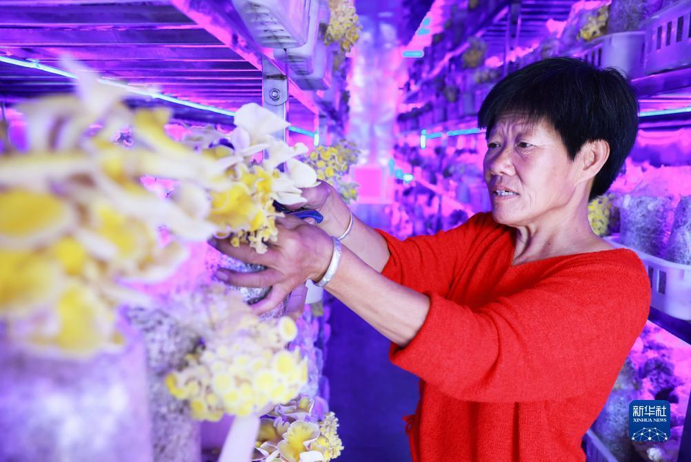 金世豪娱乐手机版官网